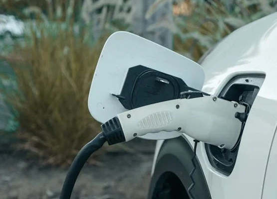 Indispensable EV adapter, you 